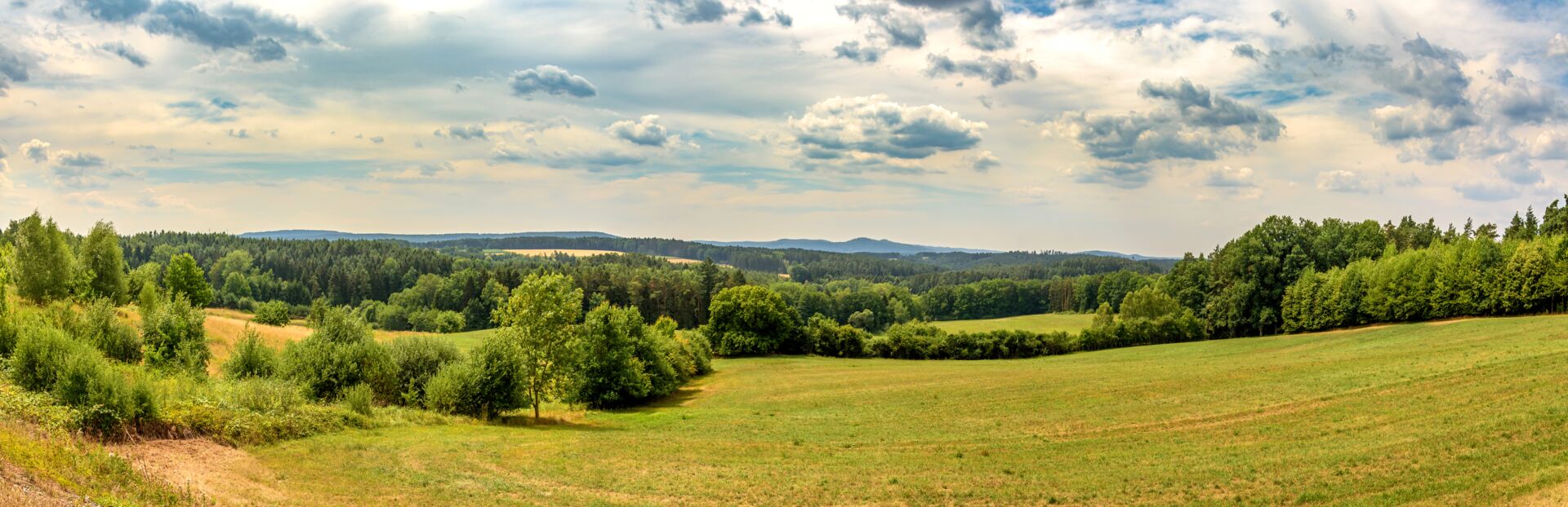 Landschaft mit Feldern und Bäumen, im Hintergrund eine Ortschaft, Fokus auf Immobilienangebote